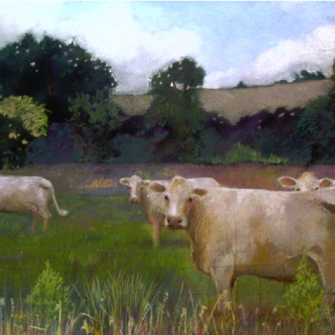 Cows
26x40
FRAMED
